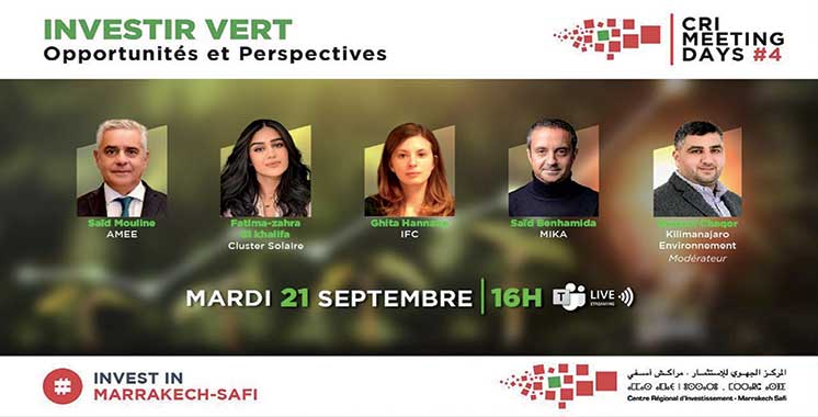 webinaire  sur les opportunités de la transition vers une économie vert