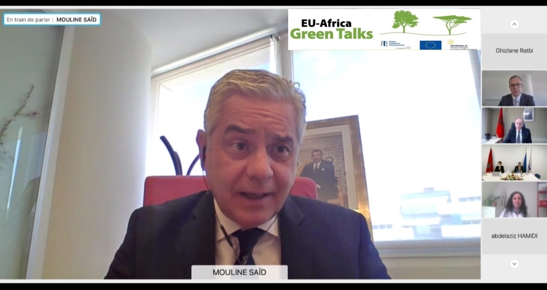 Intervention M.Said Mouline au webinaire ''Green Talk''