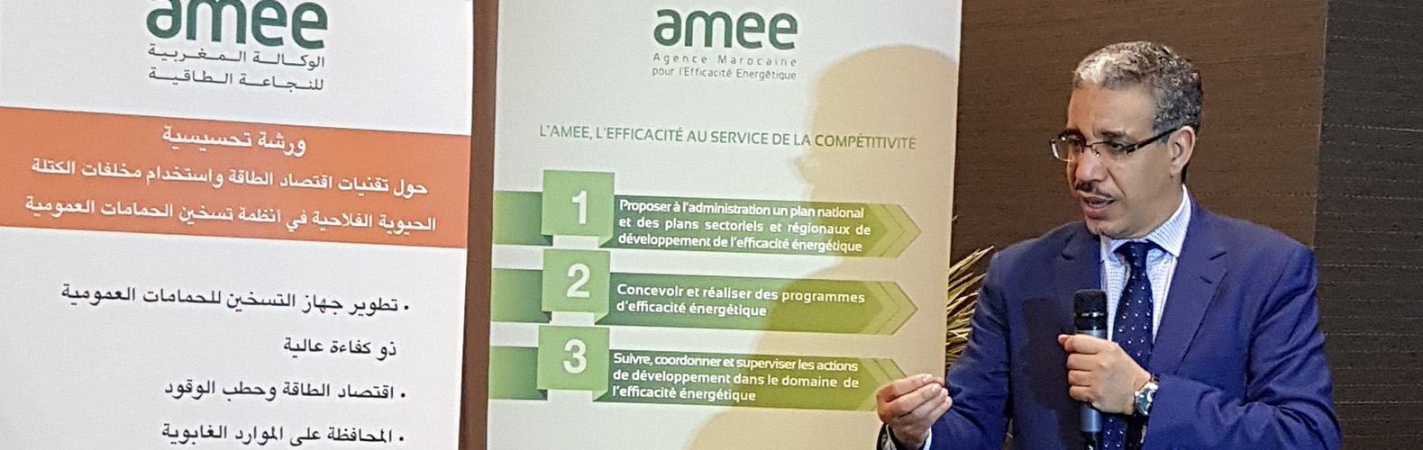 L'AMEE organise un atelier
