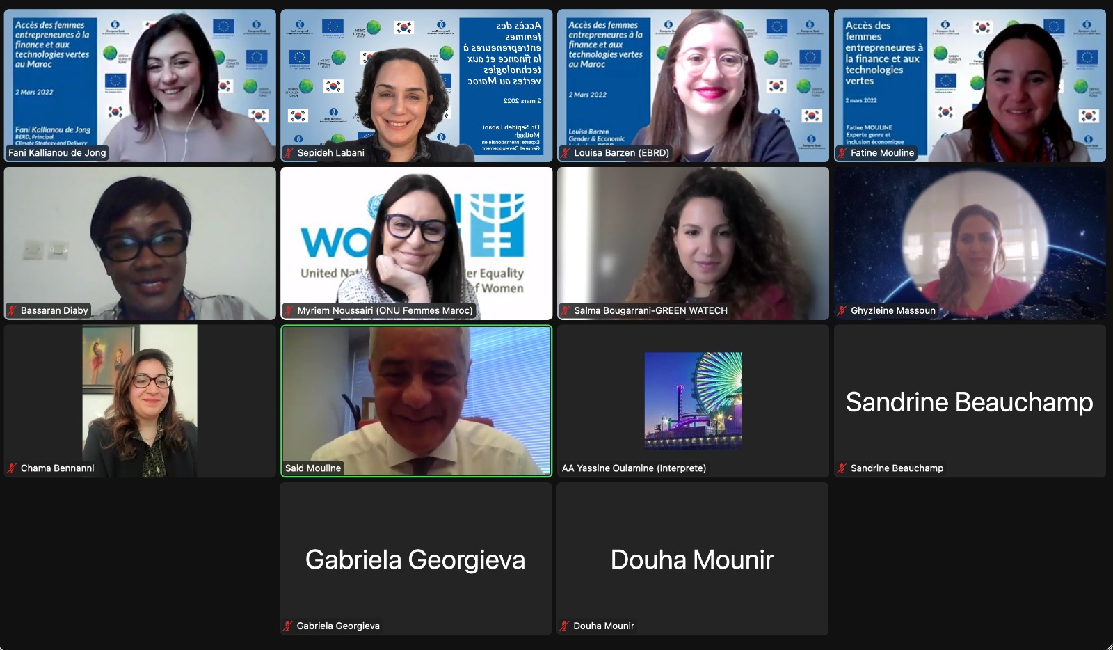 Participation de M. Mouline au webinaire BERD