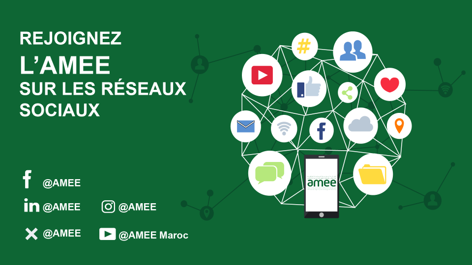 Réseaux Sociaux de l'AMEE