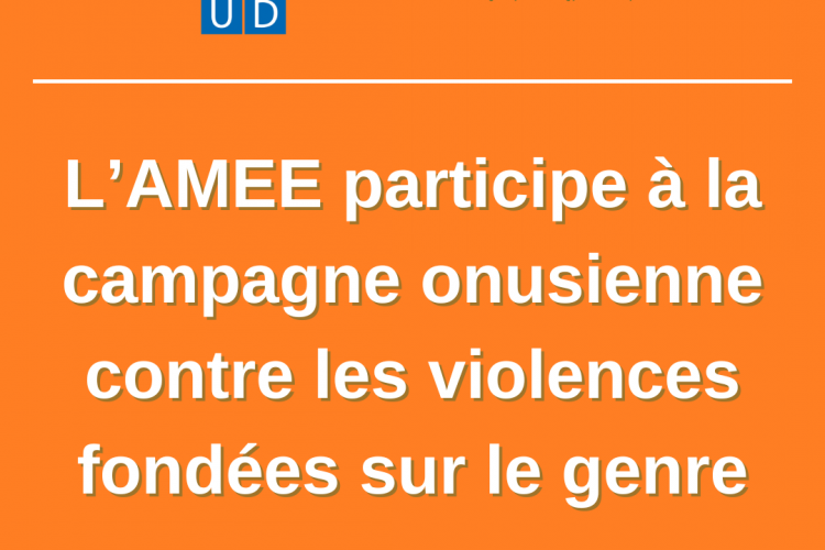 Campagne contre les violences faites aux femmes et aux filles