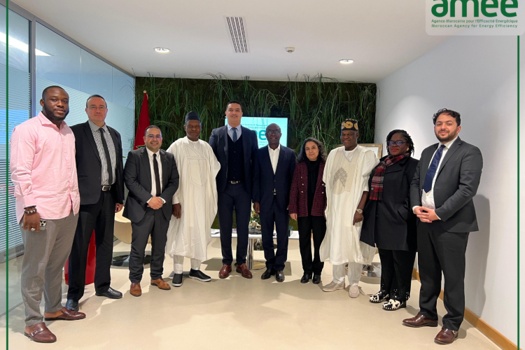 Visite de la délégation nigériane à l'AMEE