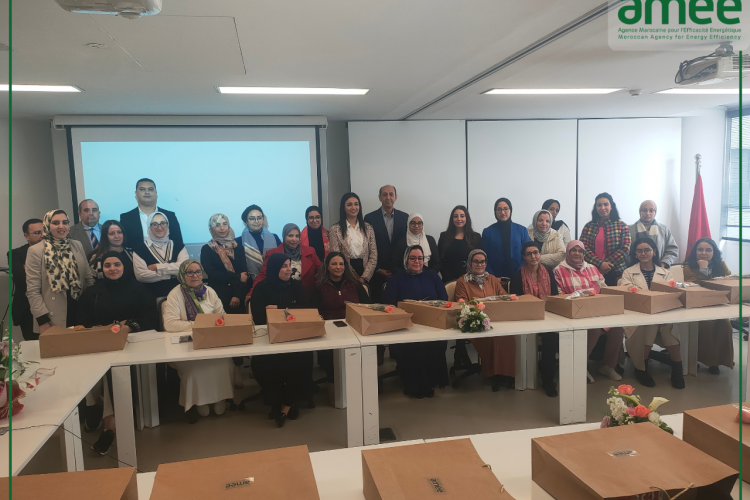 8 mars - AMEE