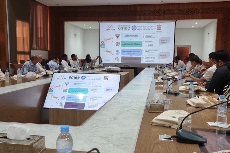 اللقاء الأول المتعلق بالإعلان عن إطلاق إعداد المخطط الجهوي للنجاعة الطاقية وإزالة الكربون بجهة مراكش-آسفي