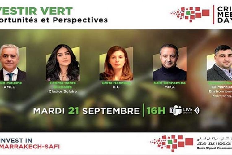 webinaire  sur les opportunités de la transition vers une économie vert