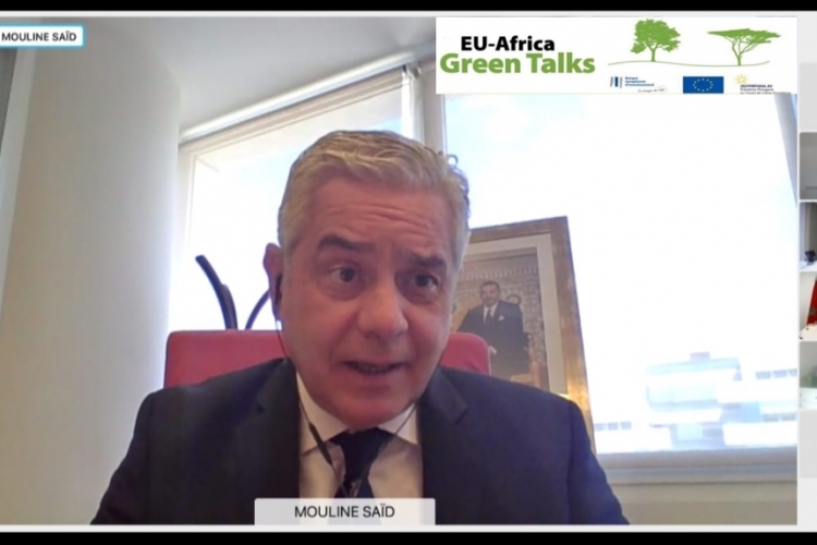 Intervention M.Said Mouline au webinaire ''Green Talk''