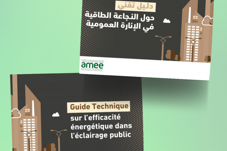 Guide technique sur l'efficacité énergétique dans l'éclairage public