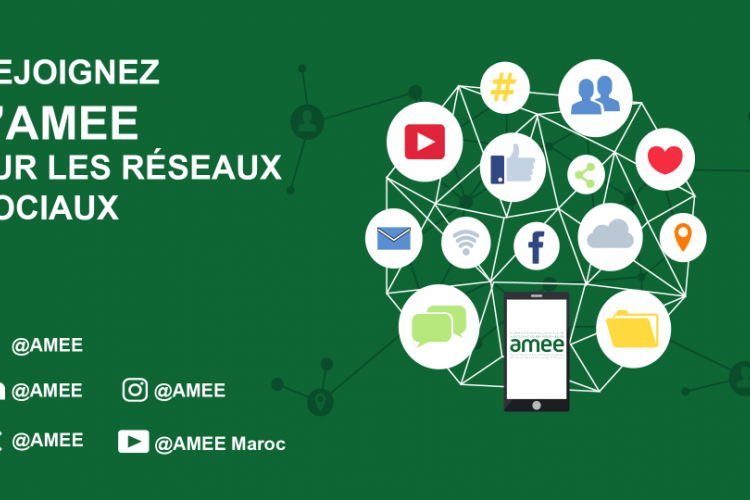Réseaux Sociaux de l'AMEE