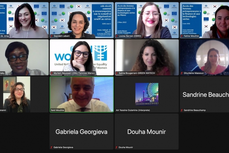 Participation de M. Mouline au webinaire BERD