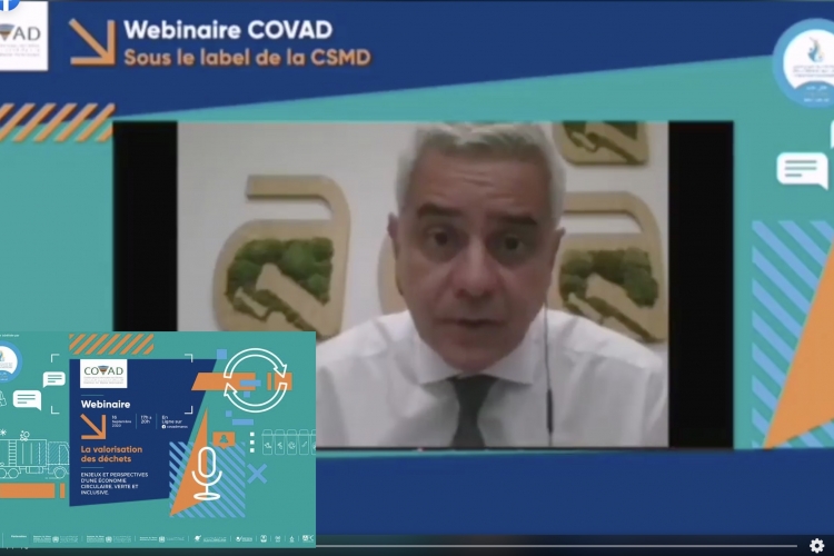 Intervention  de M.Said Mouline au webinaire COVAD